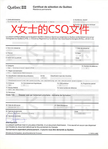 jinxiaofeiCSQ